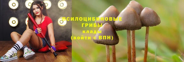 кристаллы Балахна