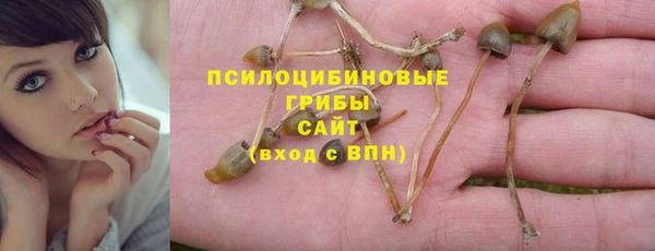 индика Баксан