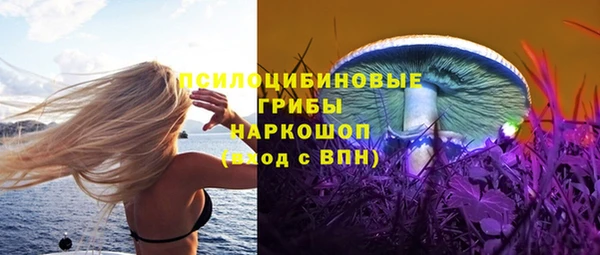 индика Баксан