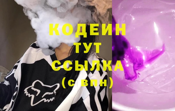 индика Баксан