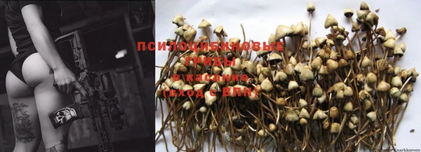 индика Баксан