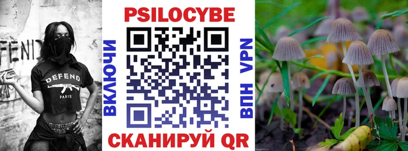 shop телеграм  Хасавюрт  Галлюциногенные грибы GOLDEN TEACHER 